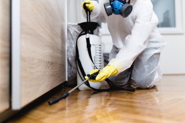 Best Mosquito Control Services  in Okeechobee, FL