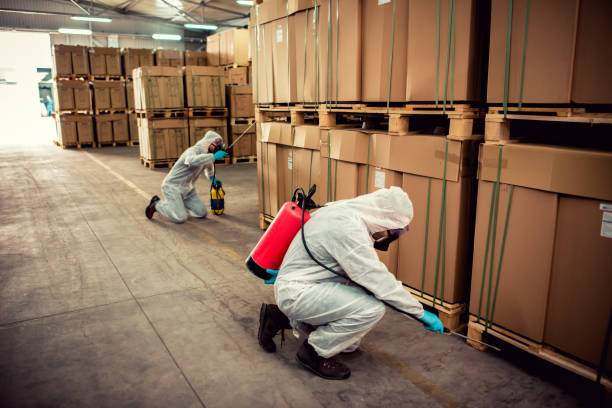 Best Best Pest Control Companies  in Okeechobee, FL