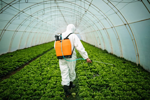 Best Pest Prevention Services  in Okeechobee, FL