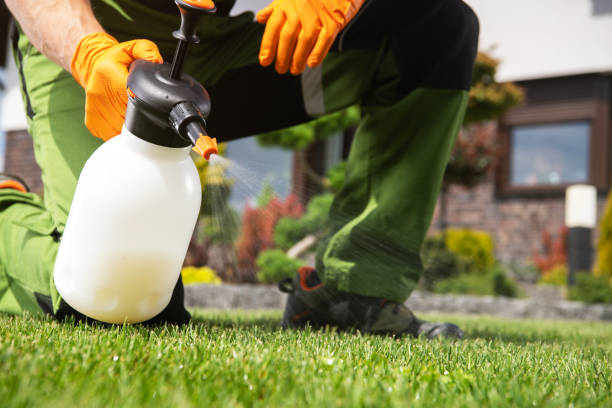 Best Termite Control Services  in Okeechobee, FL