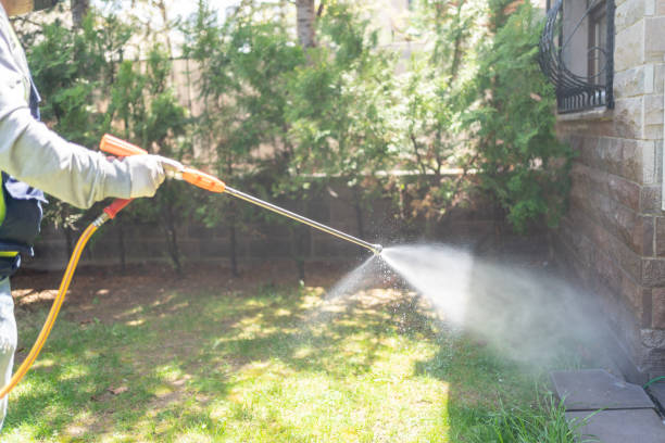 Best Pest Removal Services  in Okeechobee, FL