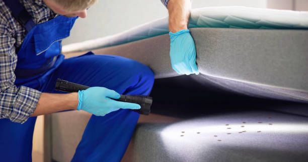 Pest Control for Restaurants in Okeechobee, FL