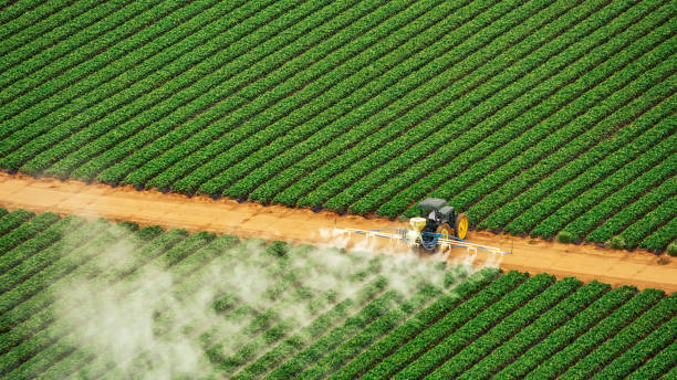 Best Commercial Pest Control Services  in Okeechobee, FL