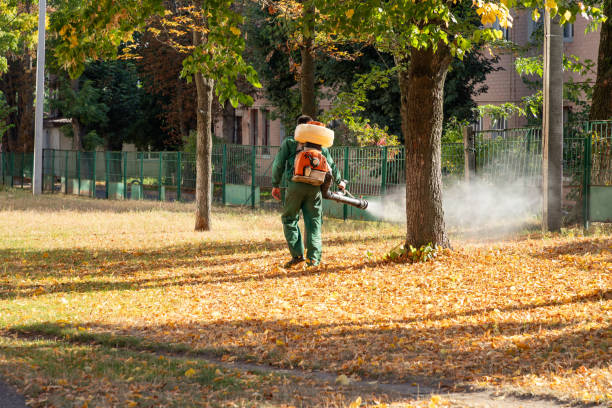 Best Affordable Pest Control Services  in Okeechobee, FL