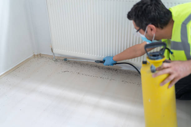 Best Best Pest Control Companies  in Okeechobee, FL